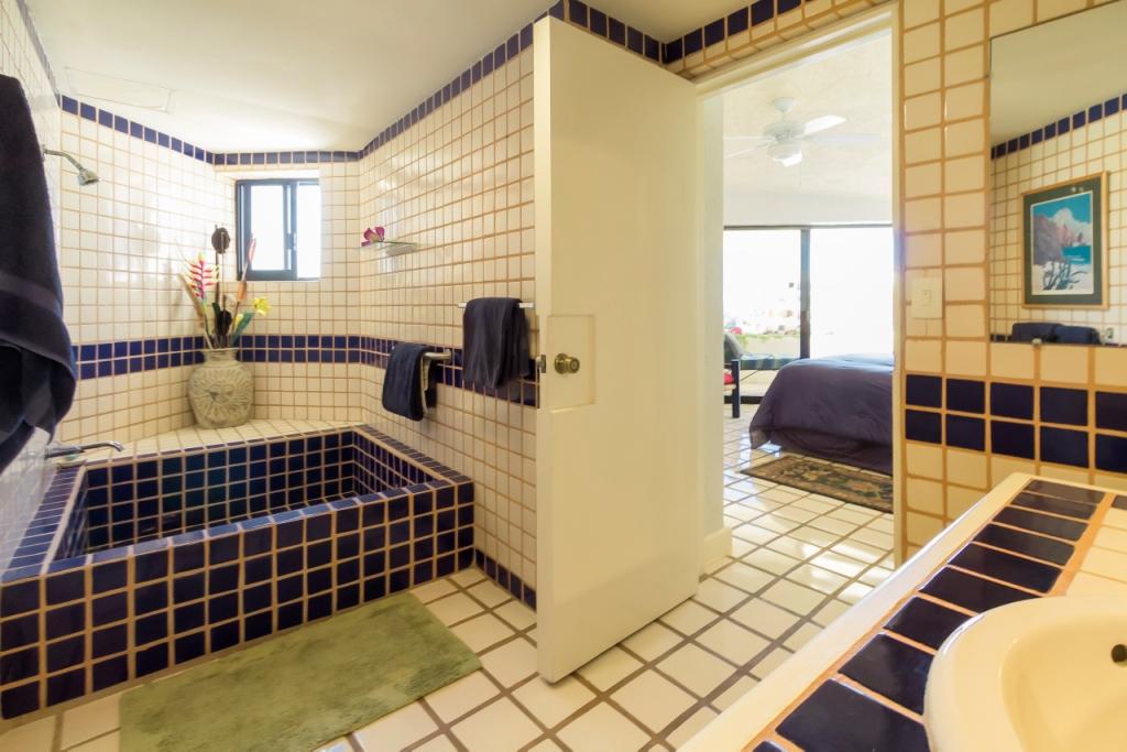 Terrasol Beachfront Resort Unit 250 Bathroom For Rent