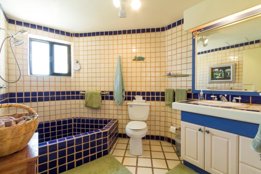 Terrasol Beach Resort Unit 250 Bathroom For Rent