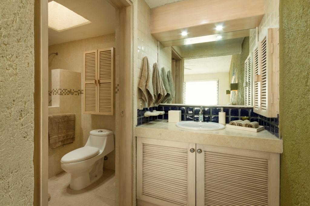 Terrasol Beach Resort Unit 219 Bathroom