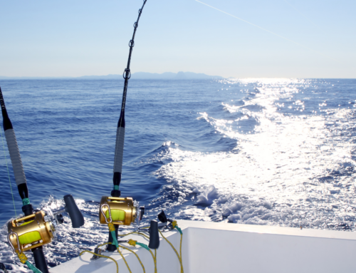 Your Guide to 2026 Fishing Tournaments in Cabo San Lucas