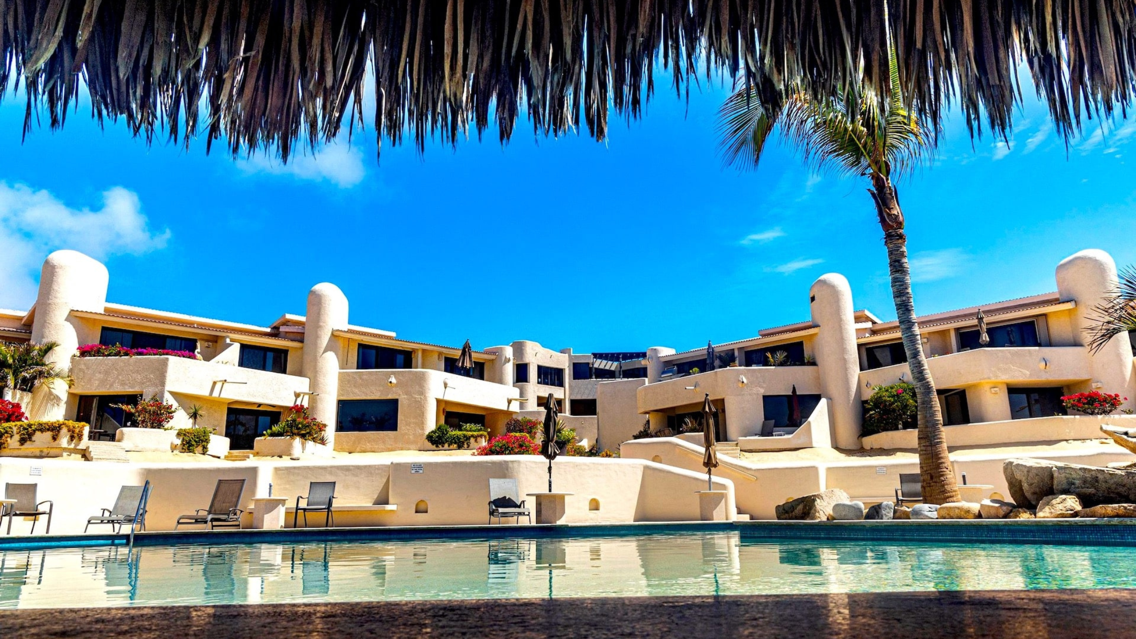 View from a pool looking toward a beige stucco beachfront condo in Cabo San Lucas, framed by a thatched roof and palm tree.