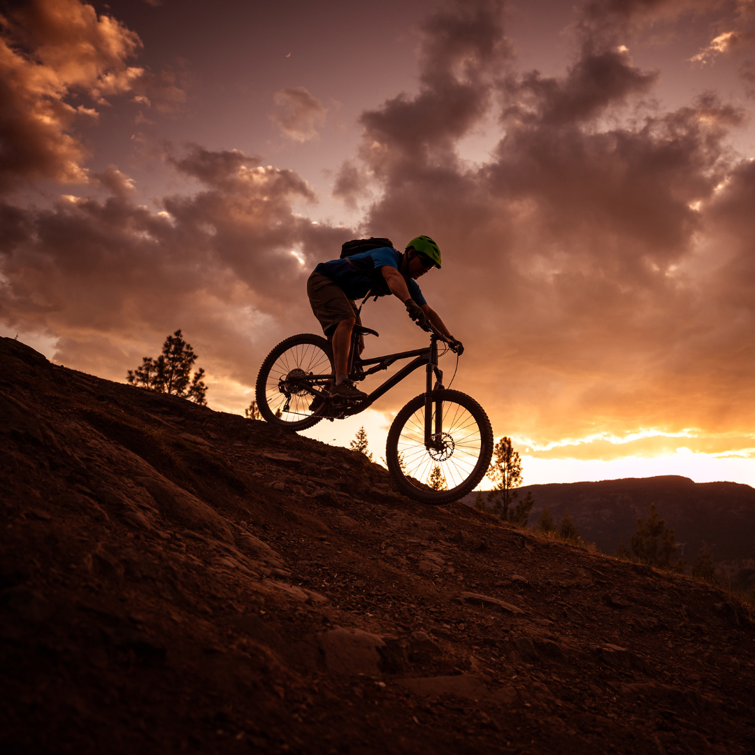 Biker riding along a desert trail at sunset during an eco-friendly bike tour in Cabo San Lucas.