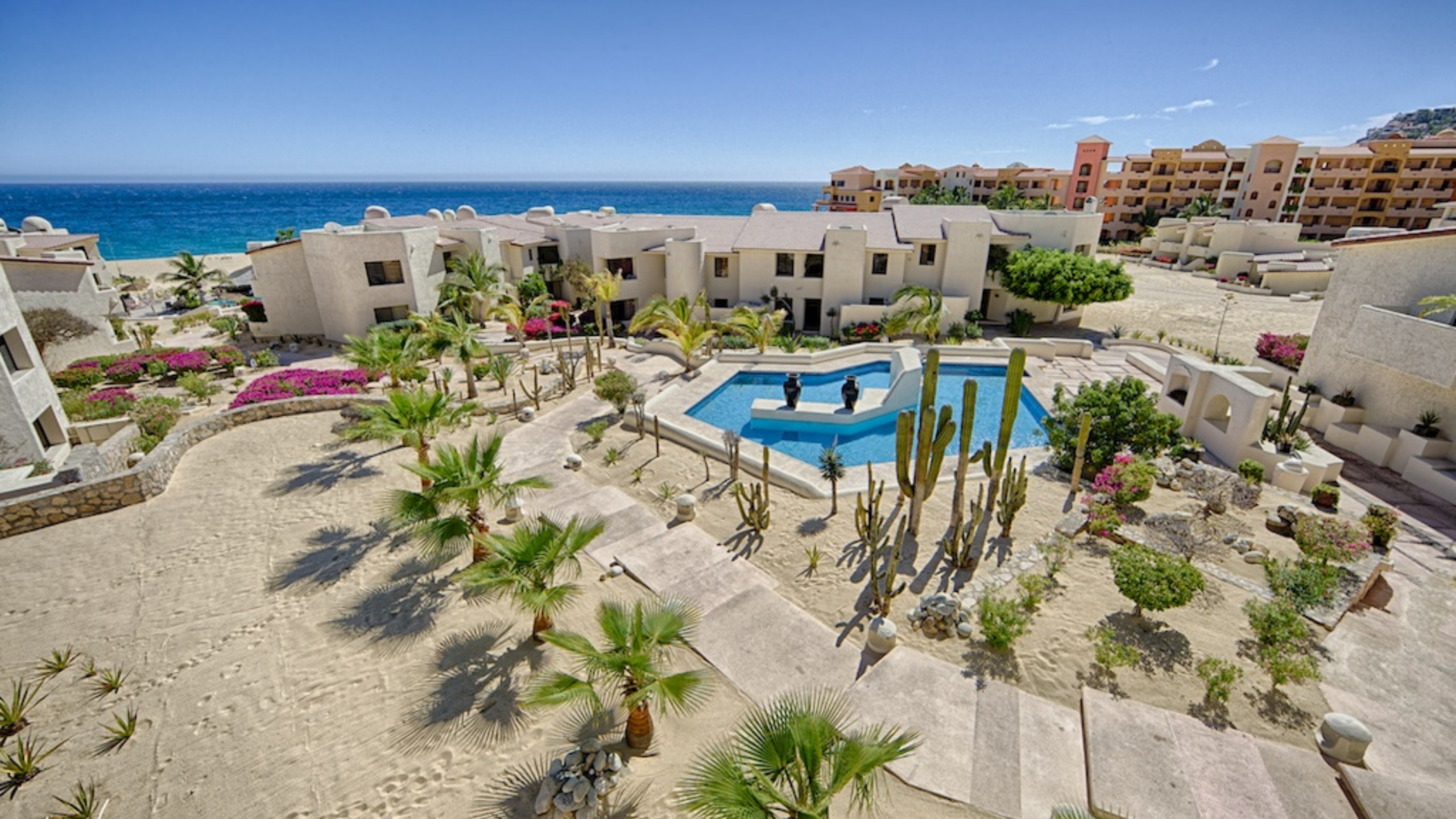 Desert-landscaped courtyard with a blue pool and palm trees at Terrasol, a choice for long term rentals cabo san lucas.