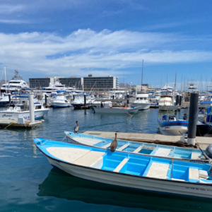Two brown pelicans perch on a small blue-and-white fishing boat docked at the Cabo San Lucas marina, with rows of yachts and sport fishing vessels in the background under a partly cloudy blue sky.